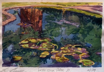 Lily pond Lily pond